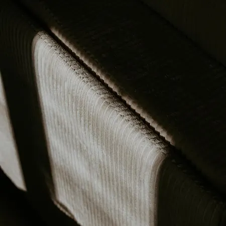 Cosy T2 Renove, Proche Centre-ville-fibre/netflix *